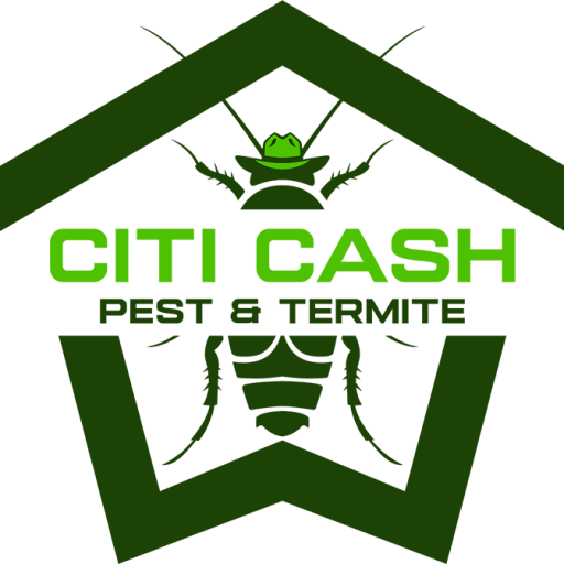 Logo with a green insect illustration and the text "CITI CASH PEST & TERMITE" in bold green and black letters.