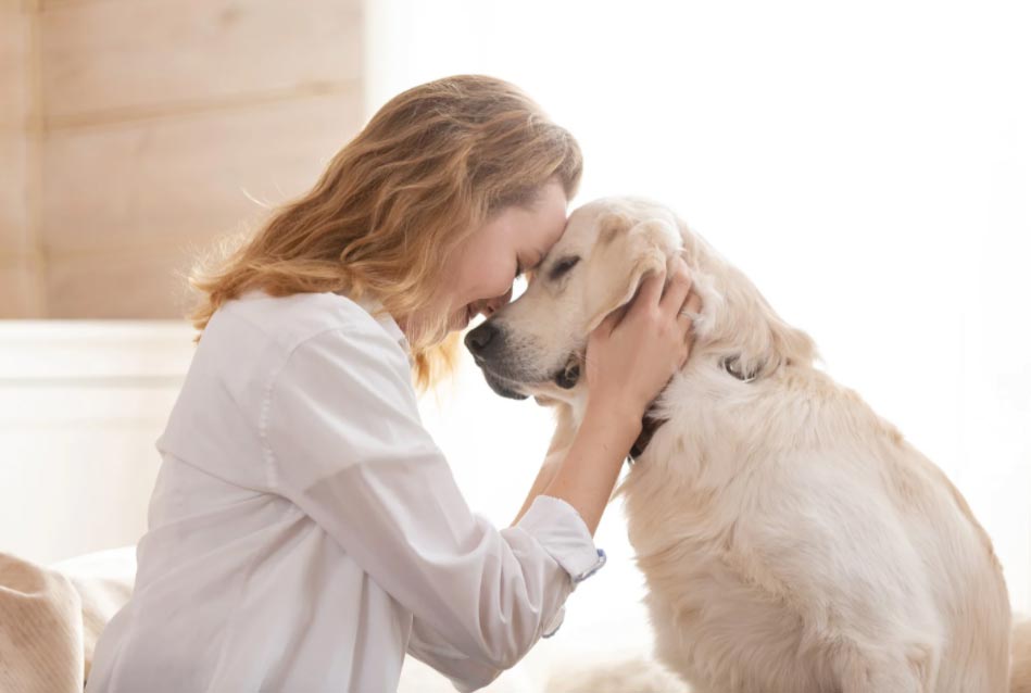 Woman gently touching foreheads with a golden retriever, both showing affection and calmness.