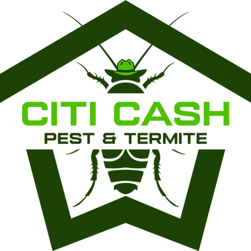Logo for "Citi Cash Pest & Termite" with a green insect graphic inside a green angular shape.